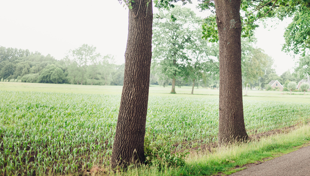 CTA rechter afbeelding