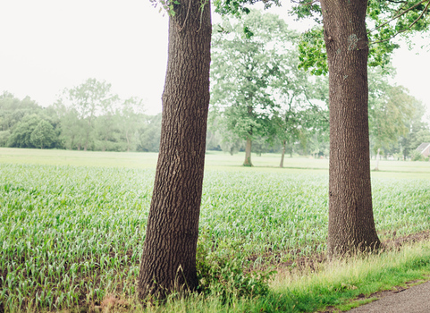 CTA rechter afbeelding